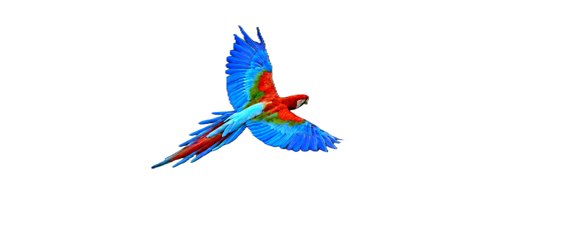 emerging image