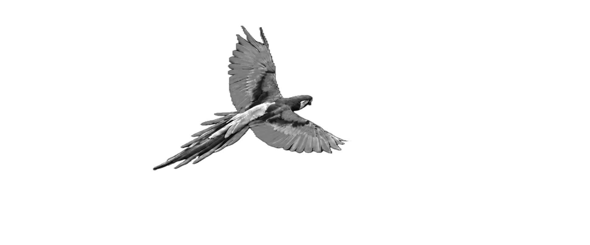 emerging image 2