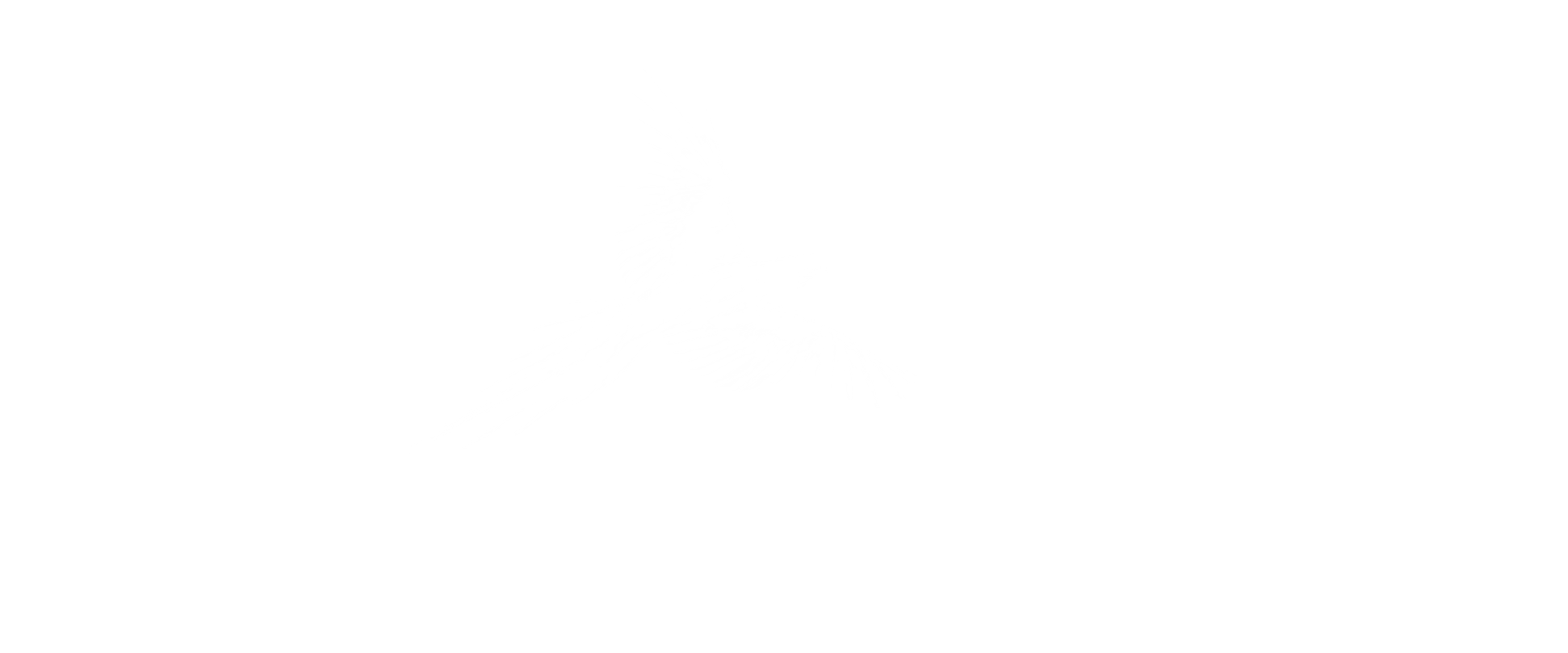 emerging image 3