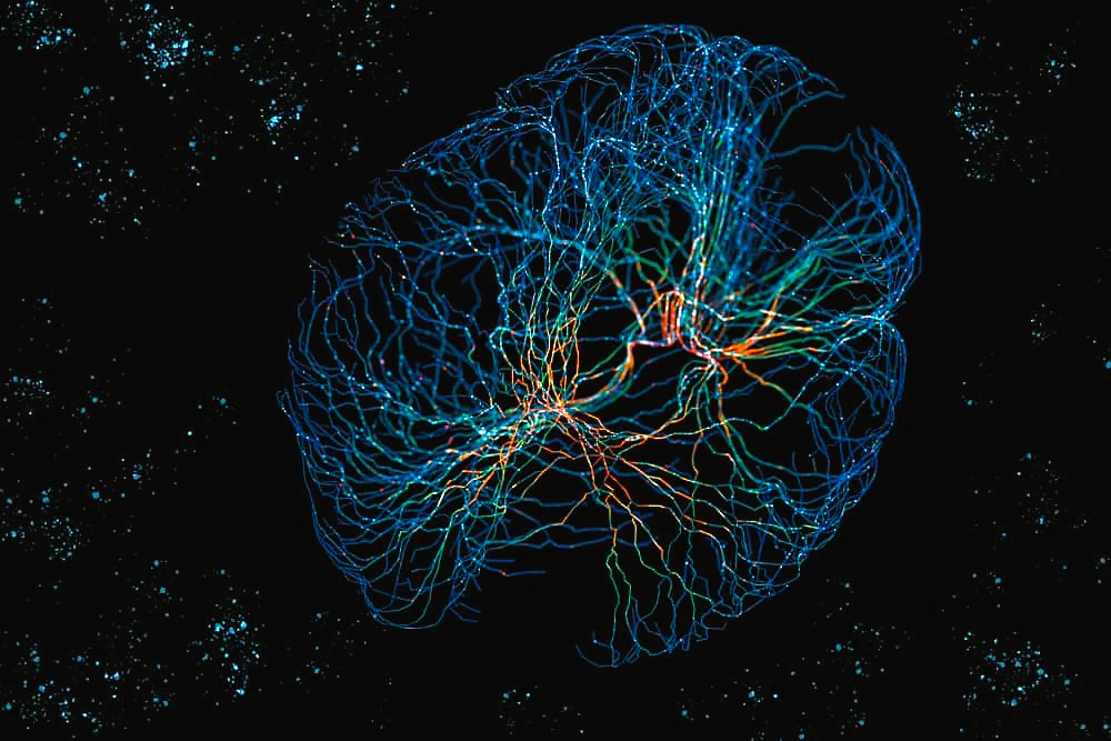 Neuro-Symbolic AI